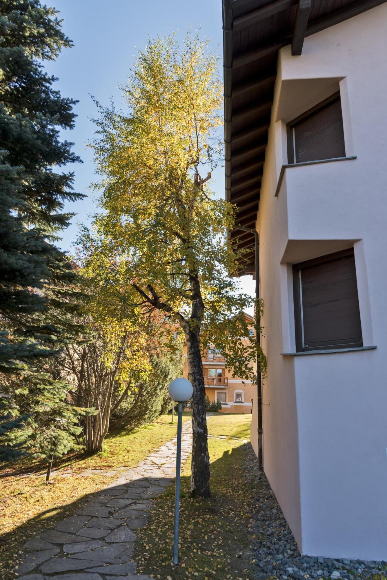Chesa Pradatsch Suot - Celerina Celerina/Schlarigna Exteriér fotografie